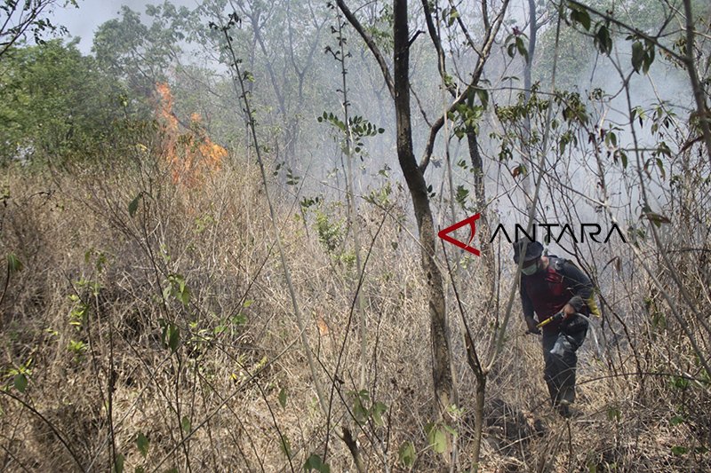 Ratusan hektare kawasan Hutan Gunung Ciremai terbakar