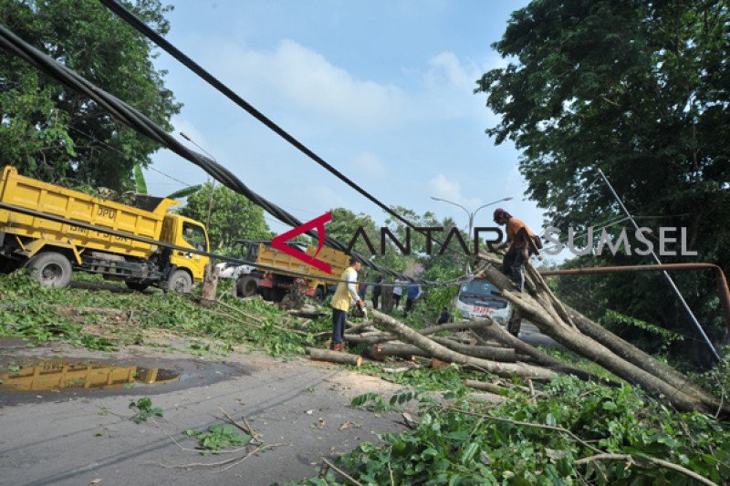 Pasca angin kencang di Jakabaring