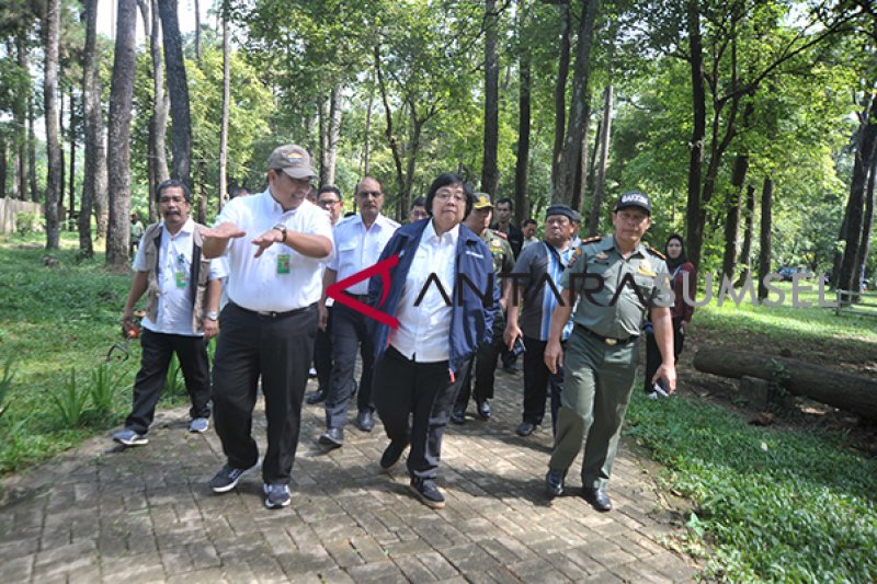 MENTERI LHK TINJAU PERHUTANAN SOSIAL