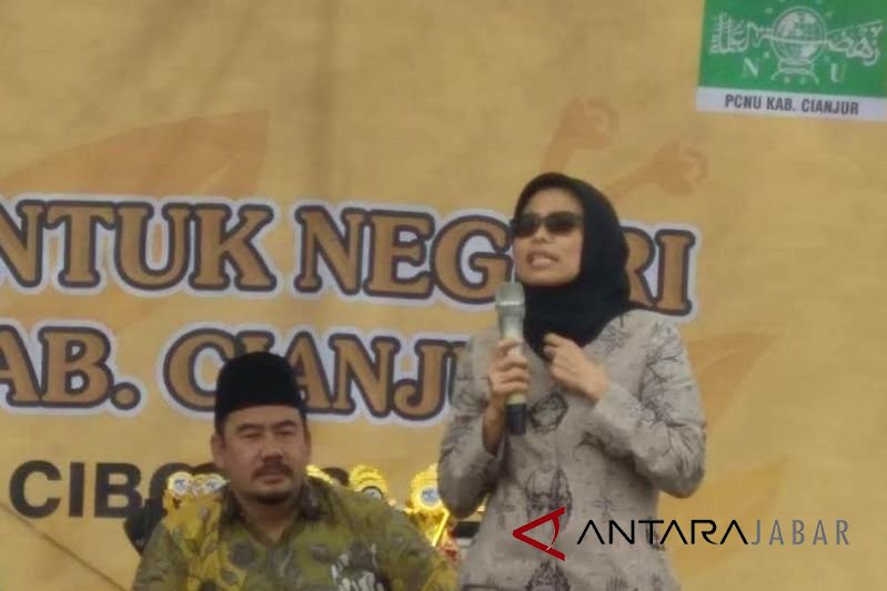 Legislator desak regulasi keselamatan penerbangan dievaluasi menyeluruh