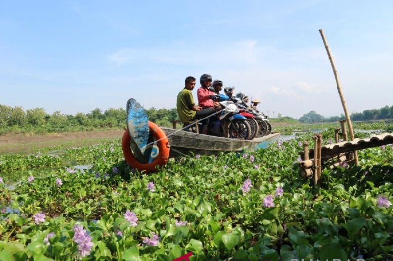 ECENG GONDOK DI BENGAWAN SOLO