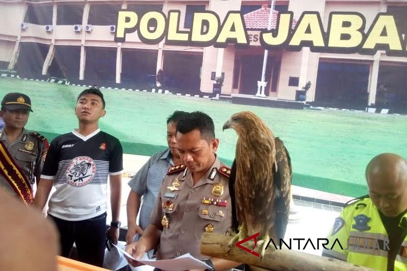 2 penjual hewan yang dilindungi diamankan Polres Cirebon