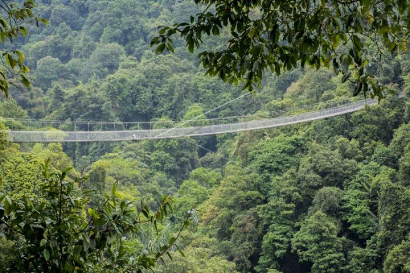 Ayo! Susuri jembatan gantung terpanjang se-Asia di Sukabumi