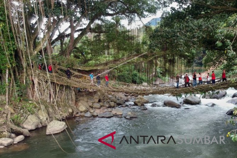 WISATA JEMBATAN AKAR