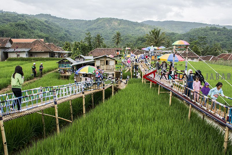 Agro wisata minapadi sawah lega