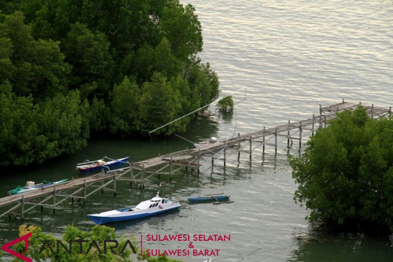 Pemanfaatan Hutan Mangrove