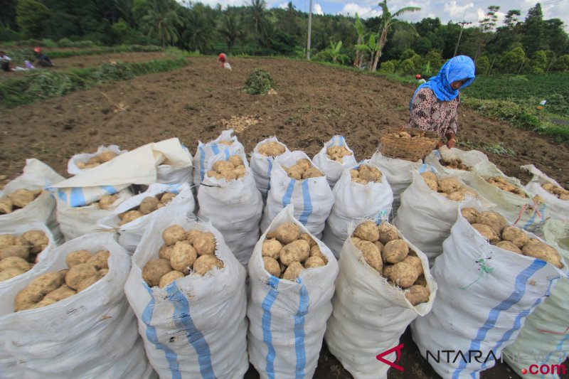 DKPP Kuningan galakkan dversifikasi pangan solusi hadapi kenaikan harga beras
