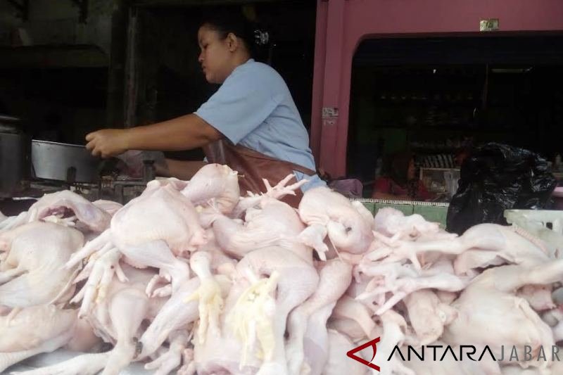 Harga ayam potong di Pasar Indramayu merangkak naik