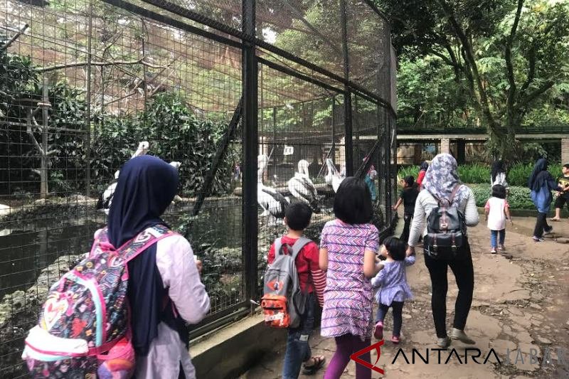 Bandung Zoo targetkan 30 ribu pengunjung libur Natal-Tahun Baru