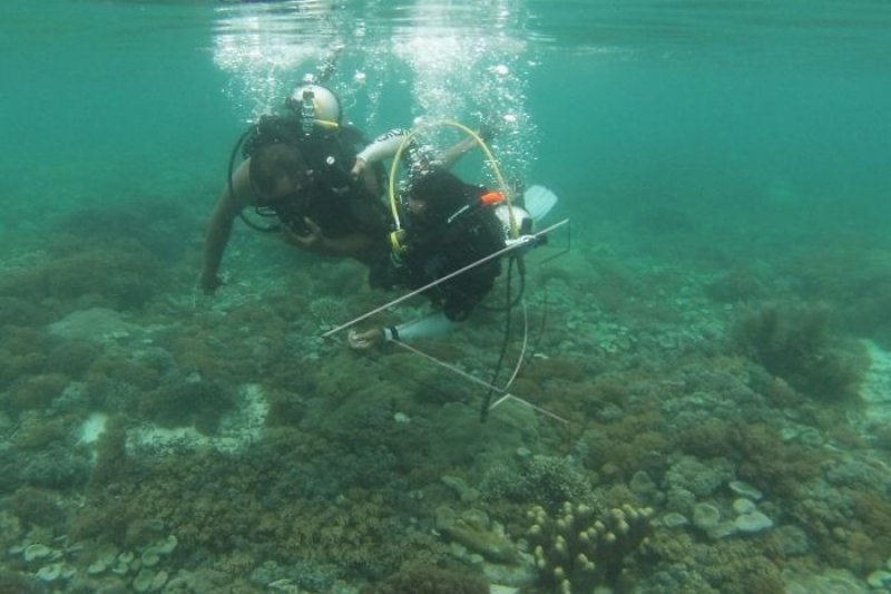 Bangkai kapal KRI Gadjah Mada dijadikan daya tarik wisata menyelam Cirebon