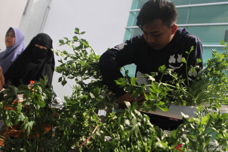 Peringatan Hari Gizi Nasional