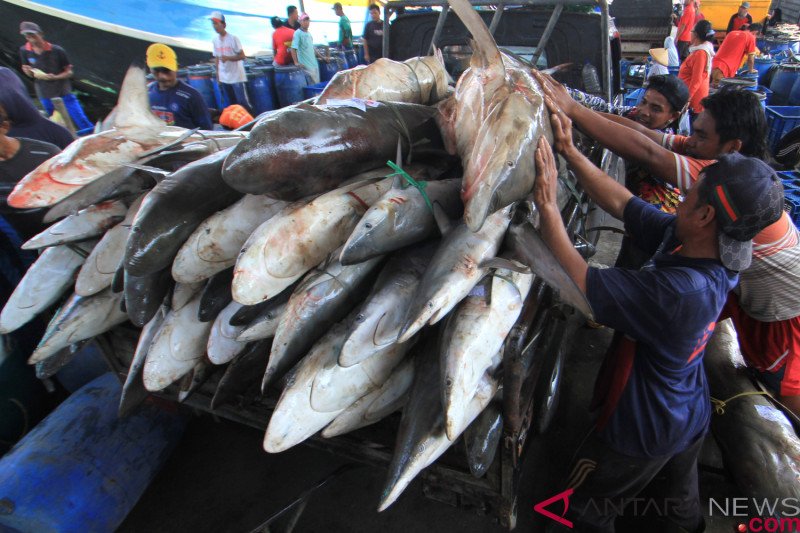 Harapan nelayan pada 