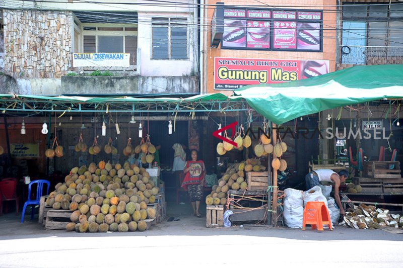 Renovasi destinasi wisata sentra durian Kuto