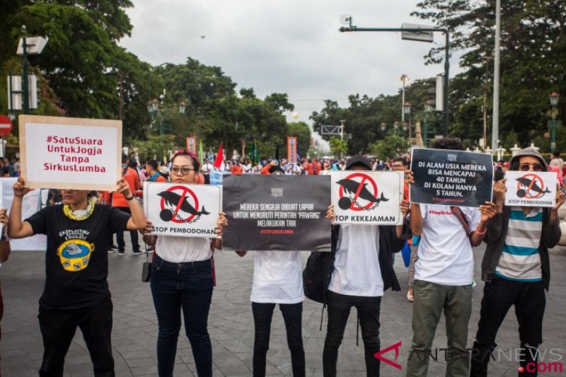 Aktivis Yogyakarta Tolak Sirkus Lumba-lumba