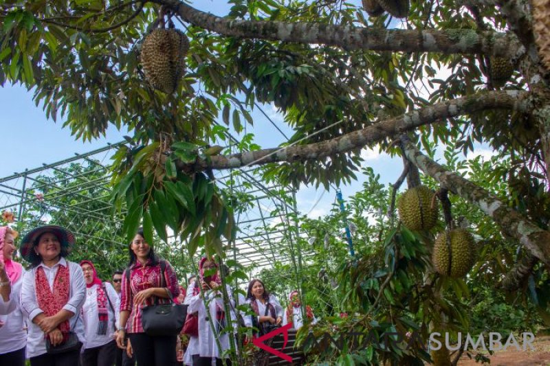 KUNJUNGAN KERJA IBU NEGARA DI SEMARANG