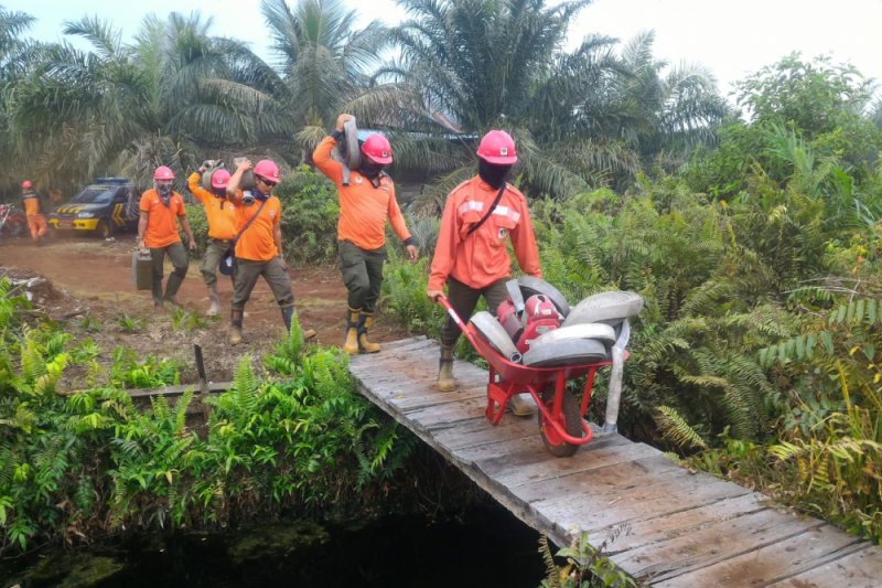 Manggala Agni Berjibaku Lawan Karhutla Rohil