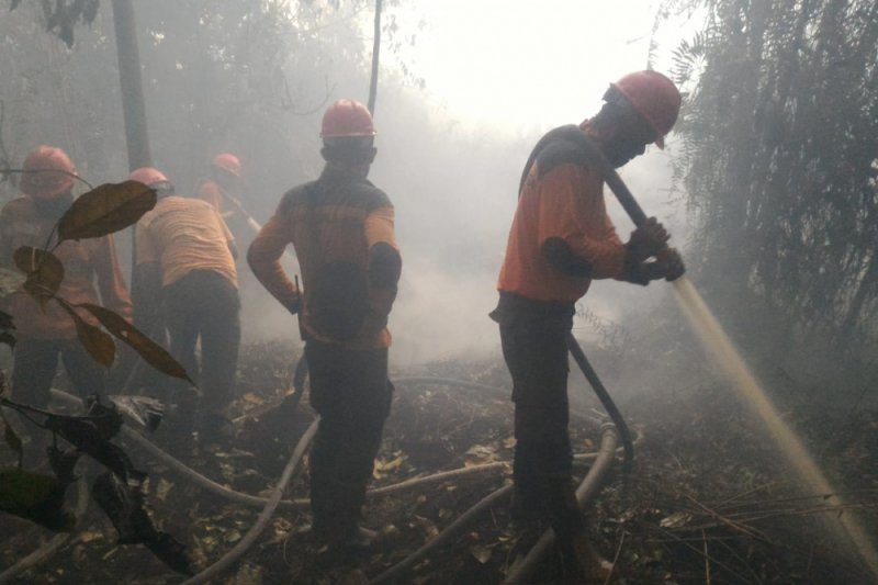 Manggala Agni Berjibaku Lawan Karhutla Rohil