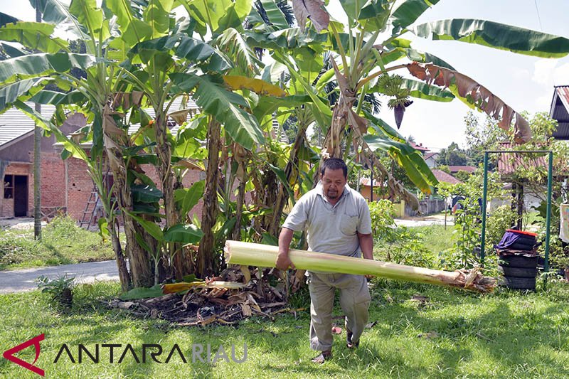 Perajin Kertas dari Pisang