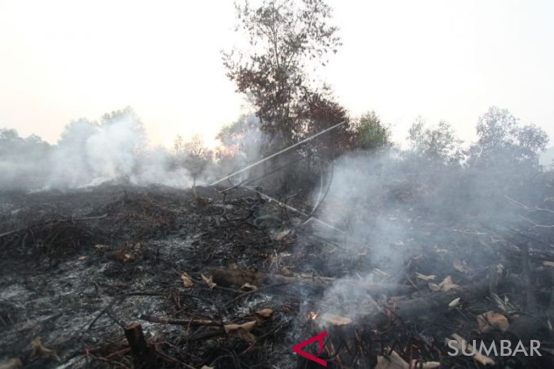 POTENSI KEBAKARAN HUTAN DAN LAHAN GAMBUT DI RIAU SEMAKIN LUAS