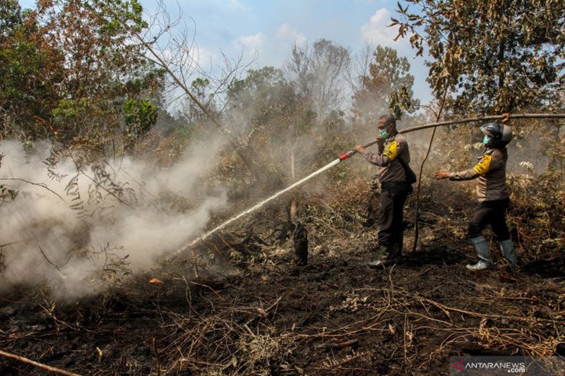 Kebakaran Lahan Gambut di Riau Terus Membara