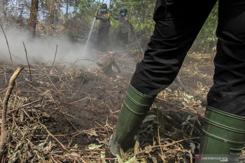 Kebakaran Lahan Gambut di Riau Terus Membara