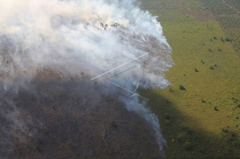 Kebakaran Lahan Gambut di Riau Terus Membara