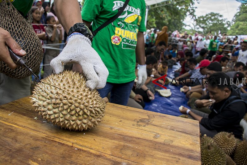 Buah durian jadi ikon Kabupaten Sukabumi