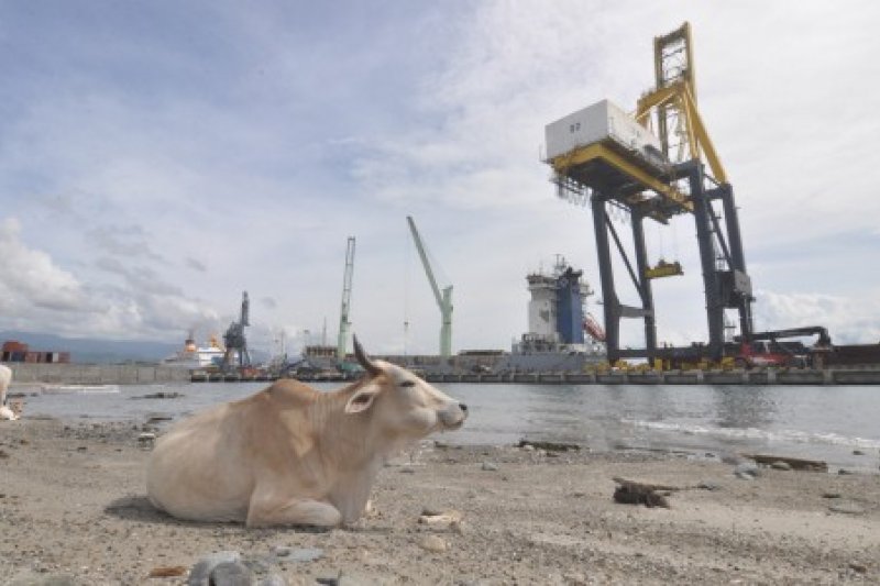 Pembenahan pelabuhan peti kemas pascabencana