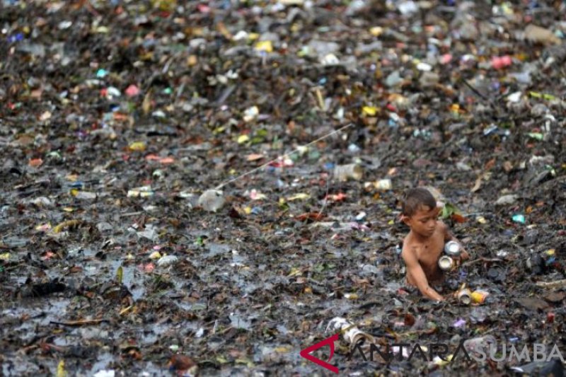 PENCEMARAN SAMPAH DI PANTAI MUARO LASAK