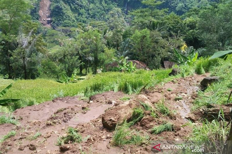 Terjadi pergerakan tanah di Cidaun Cianjur, puluhan orang mengungsi