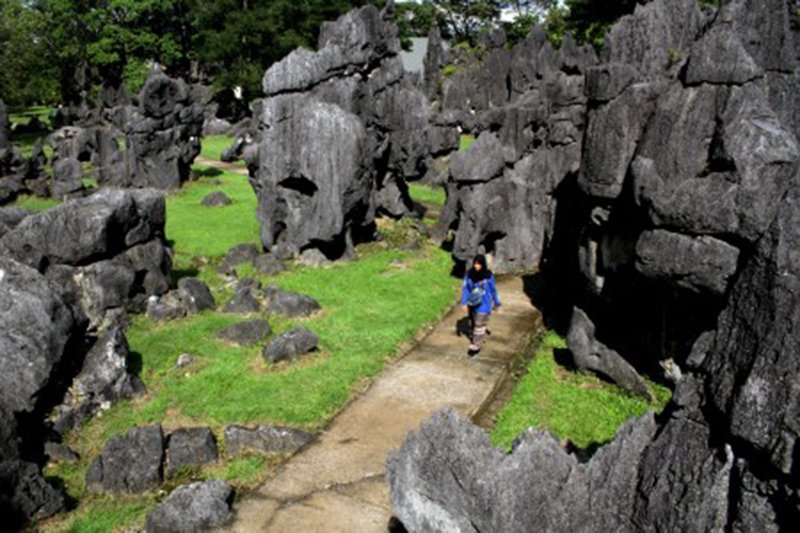 Taman prasejarah Leang-leang