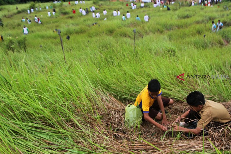 Penanaman Pohon Hari Bakti Rimbawan