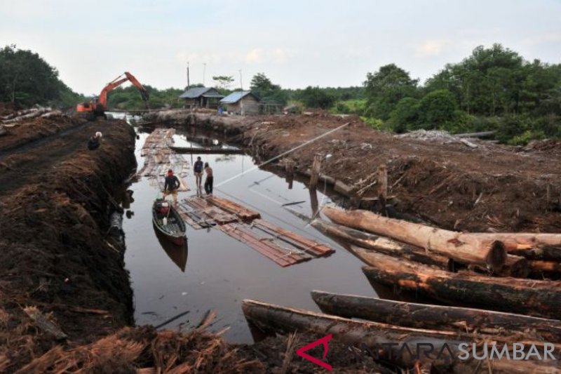 ANCAMAN PEMBALAKAN LIAR JAMBI