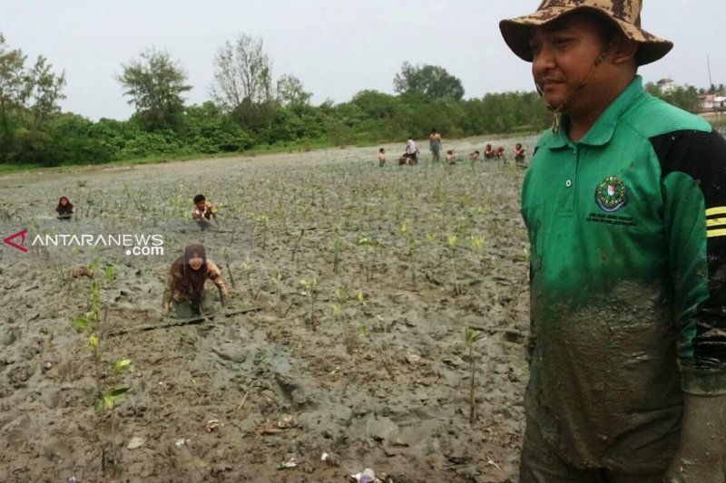 Tanam bakau jaga satwa langka hutan Way Kambas