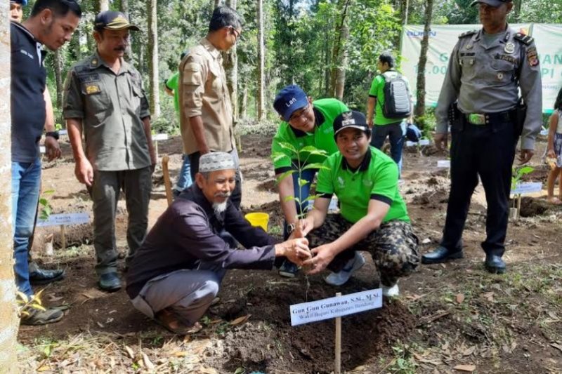 PT Len Industri tanam 15.000 pohon kopi Gambung di Bandung