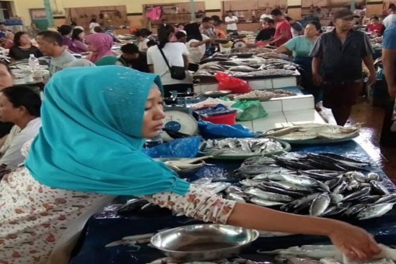 Pasokan ikan mulai banyak