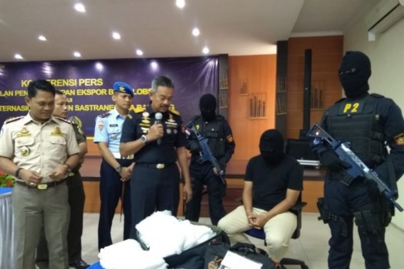 Bea Cukai  gagalkan penyelundupan benih lobster senilai Rp11 miliar