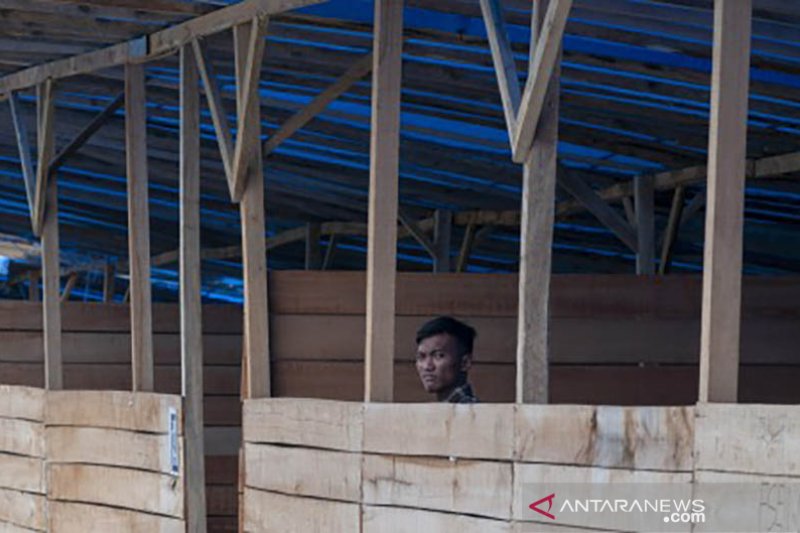 Enam bulan kuliah di tenda darurat