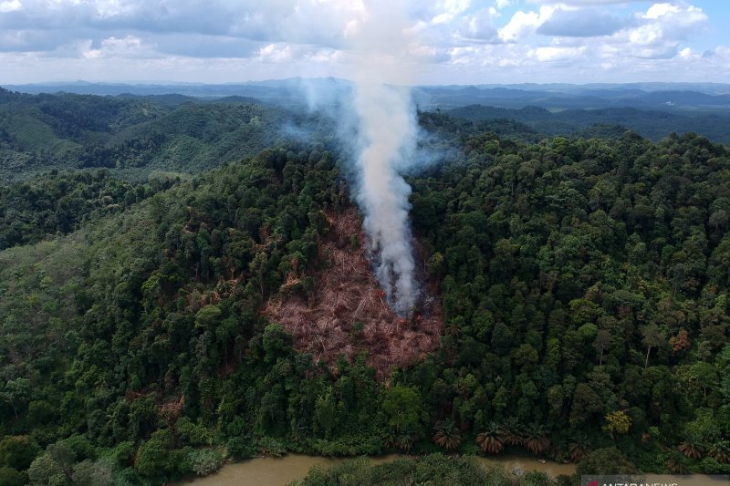 Membuka Lahan dengan Cara Membakar