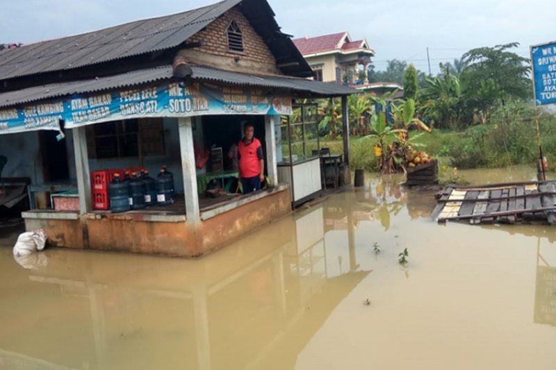 Puluhan rumah terendam banjir di Mesuji