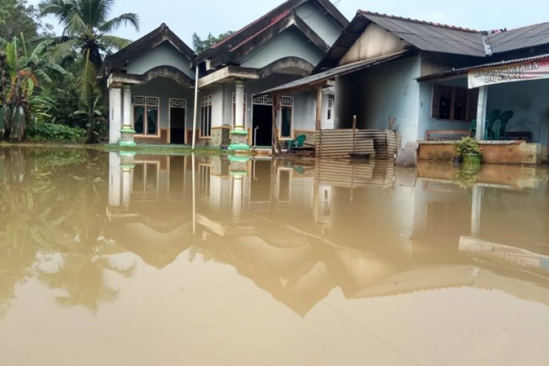 Puluhan rumah terendam banjir di Mesuji