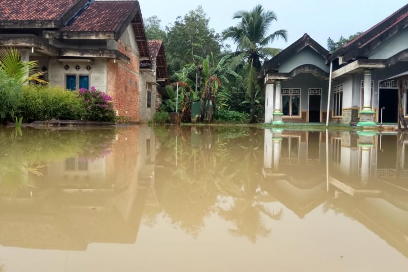 Puluhan rumah terendam banjir di Mesuji