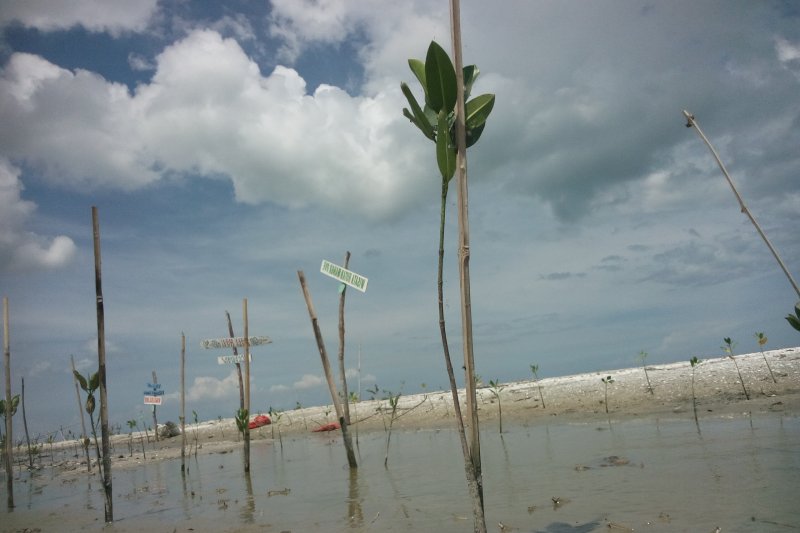 Objek Wisata Pantai Mutiara Baru 