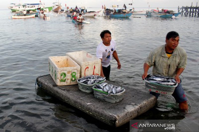 Harga ikan naik