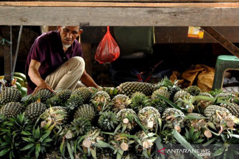 Permintaan buah lokal meningkat