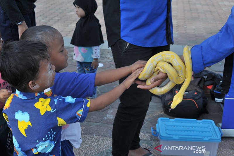 Ngabuburit  bersama komunitas reptil Sumsel