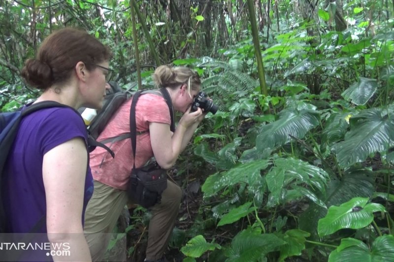 Belasan pelajar Belanda belajar keanekaragaman hayati di Situgunung [Video]