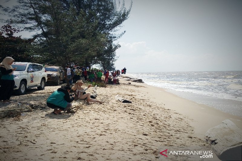 Pantai Ujung Pandaran terancam hancur akibat terus tergerus abrasi