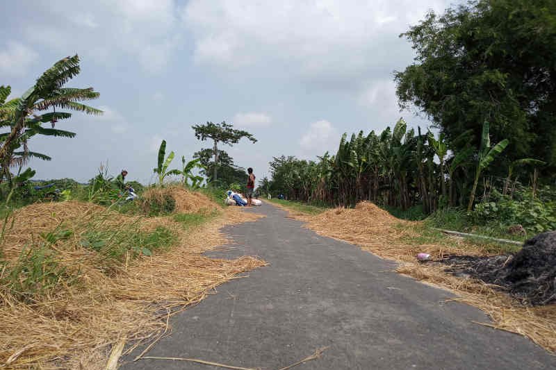 Dana Desa muluskan jalan di Tegalurung  Indramayu