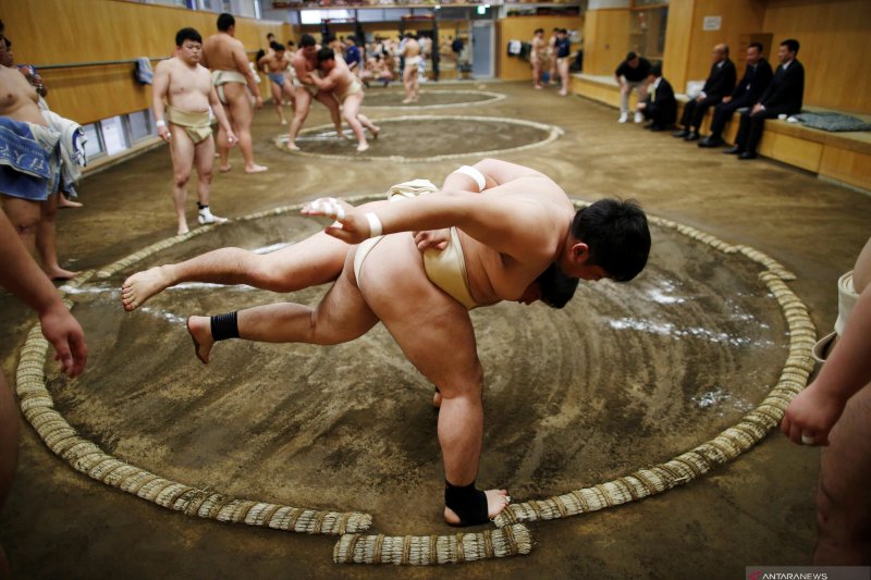 Turnamen sumo Jepang bakal kembali dihadiri penonton